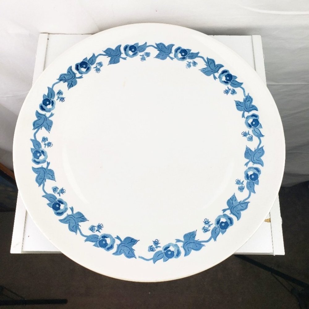 Amcrest Savannah Vanguard Ironstone Japan Platter